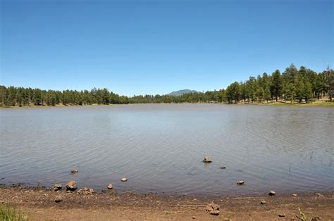 Is Kaibab Lake Open for Fishing? - Trickyfish