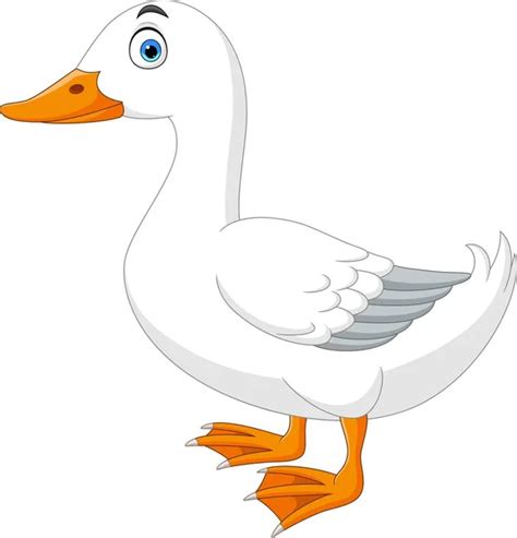 Funny duck cartoon Stock Vector Image by ©tigatelu #19581601