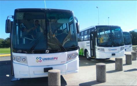 Puerto Vallarta finally presents new bus fleet