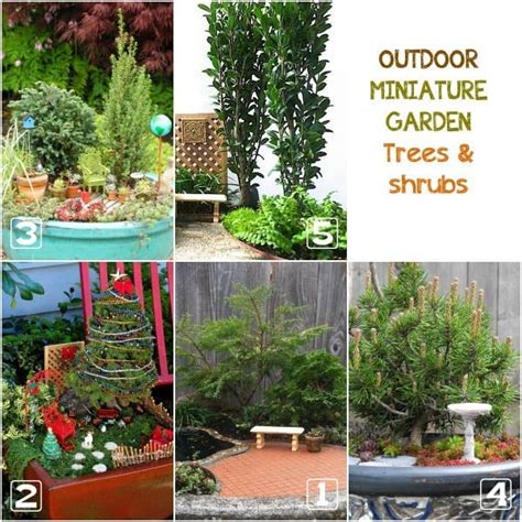 Best Plants for Miniature Gardens | Resource Guide - Empress of Dirt