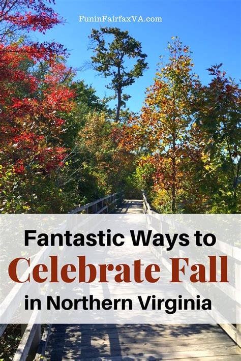 Fantastic Ways to Celebrate Fall in Northern Virginia - Fun in Fairfax VA