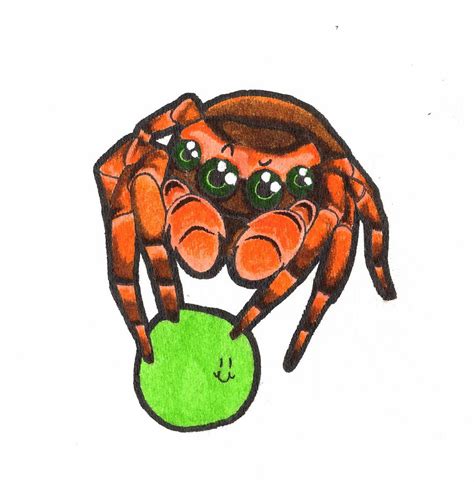 Cute jumping spider Drawing by Yichen Gao - Fine Art America