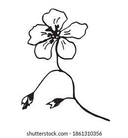 Vector Sketch Black White Flower Hand Stock Vector (Royalty Free) 1861310356 | Shutterstock