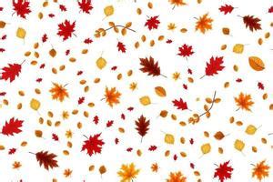 Details 100 fall leaves background - Abzlocal.mx