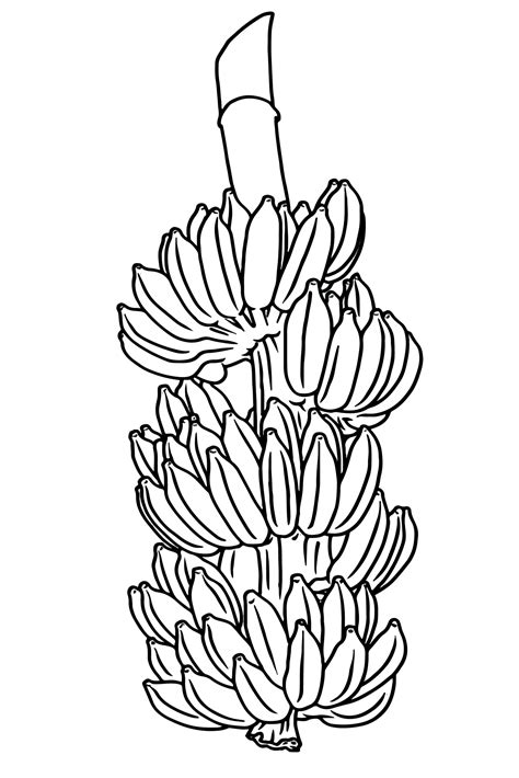 banana illustration clipart picture black and white | Clipart Nepal