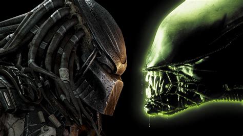 Alien Vs Predator Wallpapers - Wallpaper Cave