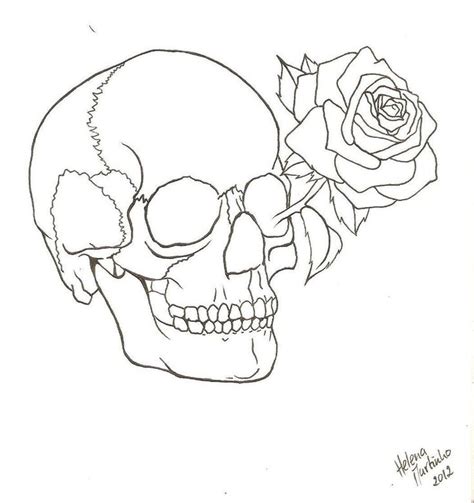 skull outline | Skull and rose drawing, Skull coloring pages, Outline ...