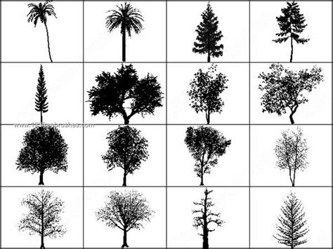 Tree Plan Brush Photoshop Free / 9 tree brush photoshop brushes in Photoshop brushes abr ...