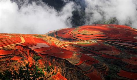 Dongchuan Red Land | Colorful Yunnan