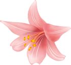 Flower PNG Clip Art Transparent Image | Gallery Yopriceville - High-Quality Free Images and ...