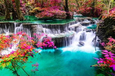 Premium Photo | Scenic view of waterfall in forest