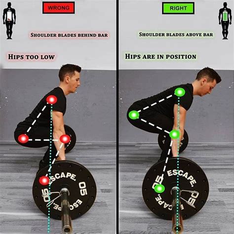 8 Deadlift Variations Complete With Benefits & Why You Should Try Them - GymGuider.com | Fun ...