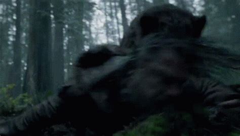 Animal Vs Human Animal Attack GIF - Animal Vs Human Animal Attack Bear - Discover & Share GIFs