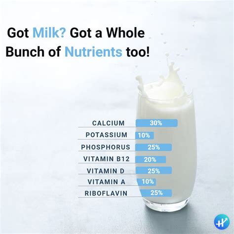 Health Benefits of Milk | Nutritious drink, Health benefits, Health