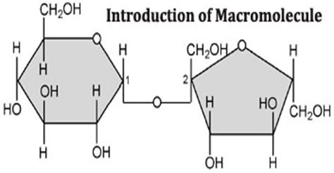 Introduction of Macromolecule - Assignment Point