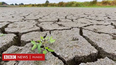 Por qué las lluvias después de las sequías pueden ser tan peligrosas ...