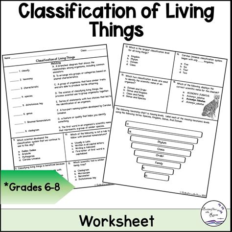 Classification of Living Things Worksheet - Classful