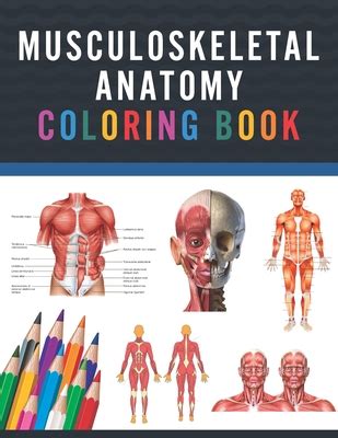 Musculoskeletal Anatomy Coloring Book: Musculoskeletal Anatomy Coloring Work book for Medical ...