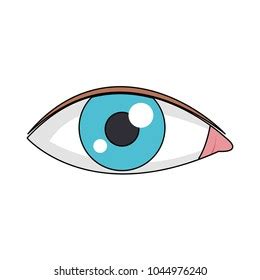 Human Eye Cartoon Stock Vector (Royalty Free) 1044972958 | Shutterstock