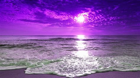 Purple Horizon: Sunset Beach HD Wallpaper