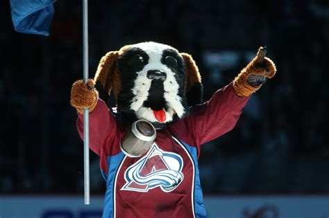 NHL Power Rankings: Ranking each mascot from worst to best - Page 3