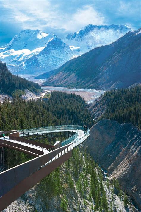 Glacier Skywalk: Cliff-edge Glass Walkway in Jasper National Park