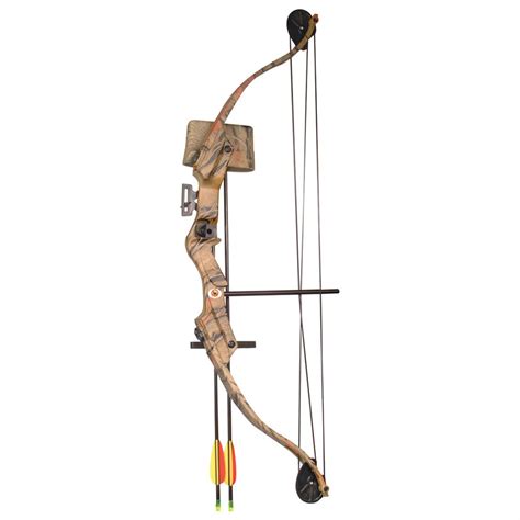 Arrow Precision® Stag Youth Archery Recurve / Compound Set - 181589 ...