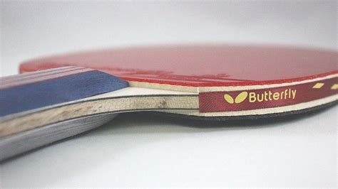 Butterfly 401 Table Tennis Racket Review