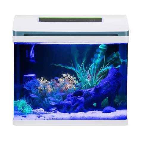 Best 5 Gallon Fish Tank for Seasoned & Beginners - AquariumPerfect