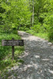 Deep Creek Hiking Trails (Great Smoky Mountains) - Champagne Tastes®