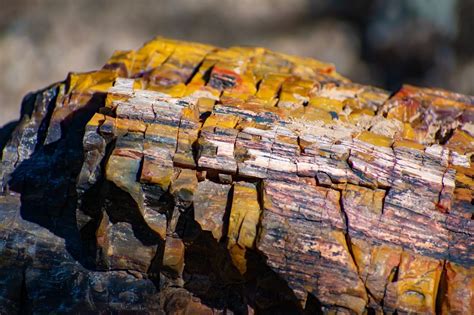 Escalante Petrified Forest State Park Tours - Book Now | Expedia