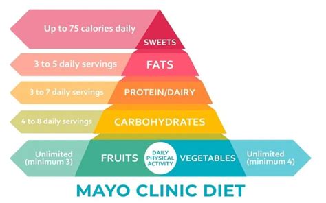 Mayo Clinic Diet for Seniors: A Guide to Healthy Aging