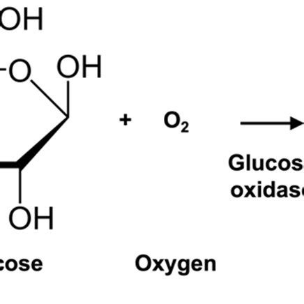 Scheme 1. Reaction scheme of glucose oxidation catalyzed by glucose... | Download Scientific Diagram