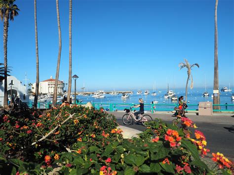 13 Fun Things to do on Catalina Island - Life Beyond Home