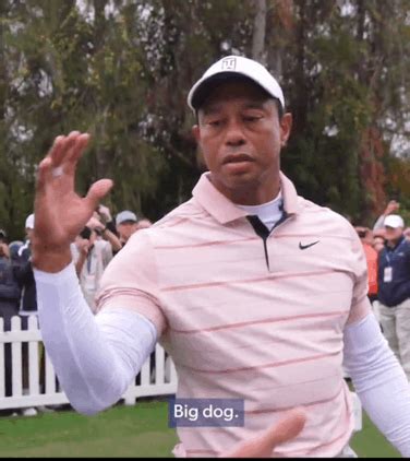 Tiger Woods Big Dog Meme - Tiger woods Big dog - Discover & Share GIFs