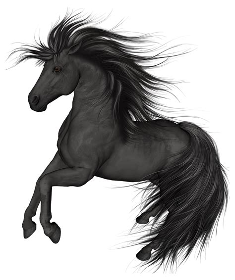 Black Horse PNG Clip Art - Best WEB Clipart