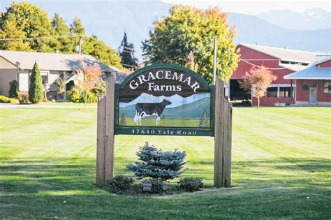 Handcrafted Sandblasted Wood Signs for a Rustic Farm or Ranch Vibe