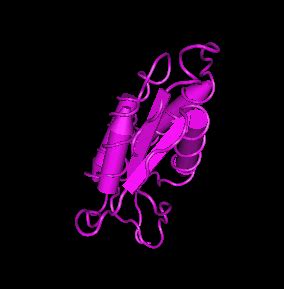 APExBIO - GM-CSF, murine recombinant