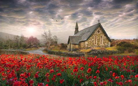 Download Red Flower Poppy Field Painting Religious Church HD Wallpaper