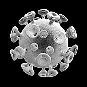 Bile Duct Cancer Prognosis