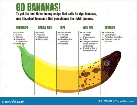 When To Eat a Banana. Usage Chart for Different Recipes. Banana Products of Varying Ripeness ...