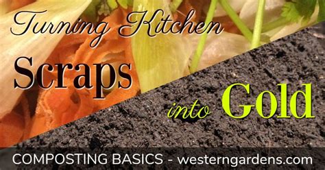 How to Compost Your Kitchen Scraps - Western Garden Centers