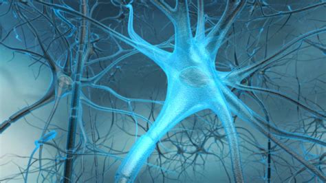 Neuron - 3D Animation and Illustration | HMA - HMA