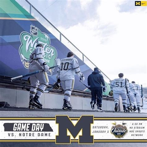 Pin by Prioritized Lamination on Hockey | Michigan wolverines hockey ...