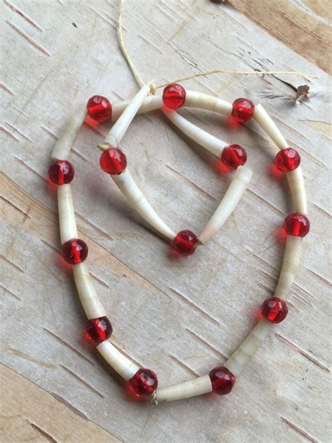 Abeadaday! Dentalium shell beads, made from small, tusk-like, tubular ...