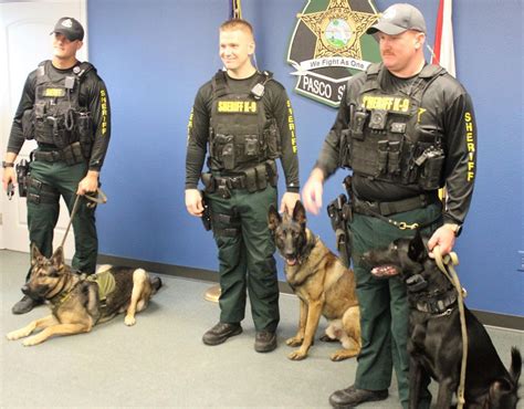 Pasco Sheriff’s Office adds three K9 patrol teams | News | suncoastnews.com