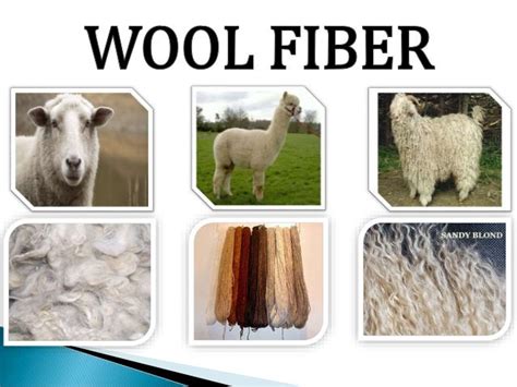 Wool fibre