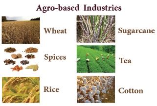 Agro Based Industries Images