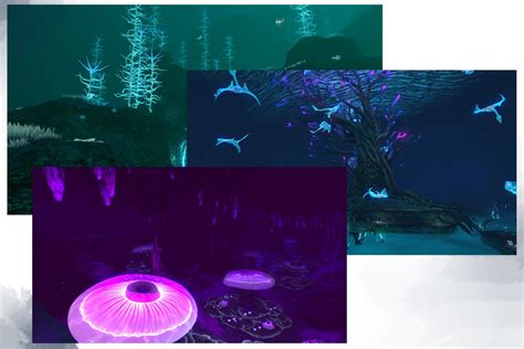 Subnautica: Where Are Each Biome Located? - Mae Polzine