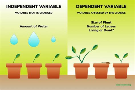 Independent and Dependent Variables Examples